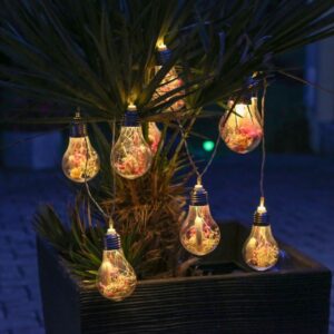 LED Lichterkette 10 Glühbirnen mit Trockenblumen - L: 1