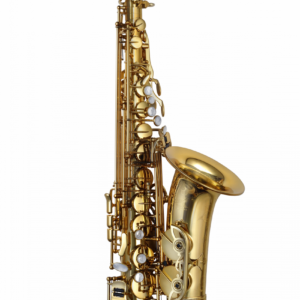 Es-Alt-Saxophon Paul Mauriat PMXA-67R GL