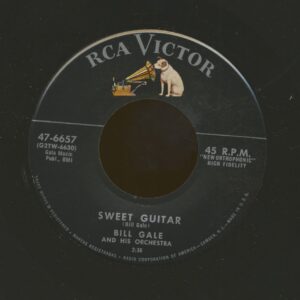 Bill Gale - Sweet Guitar - A Million Beers From Now (7inch