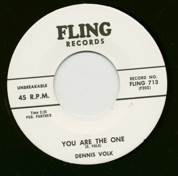 Dennis Volk - Dennis Boogie - You Are The One (7inch