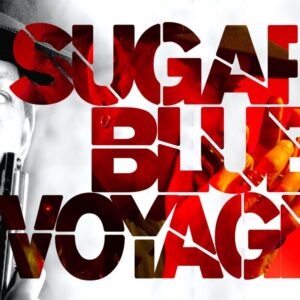 Sugar Blue - Voyage (CD)