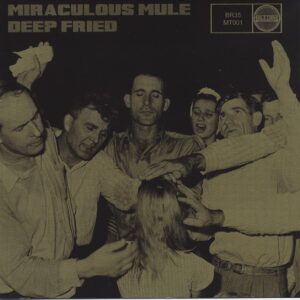 MIRACULOUS MULE - Deep Fried