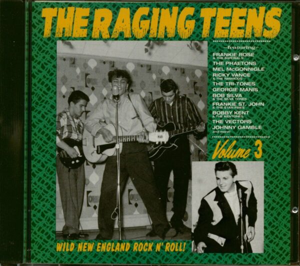 Various - The Raging Teens - Wild New England Rock'n'Roll Vol.3 (CD)