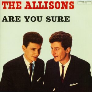 The Allisons - Are You Sure (LP)