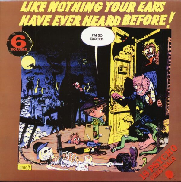 Various - Like Nothing Your Ears Have Ever Heard Before! Vol.06 (LP)