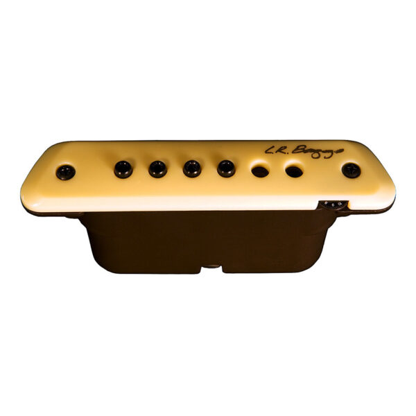 L.R. Baggs M1A Pickup Akustikgitarre