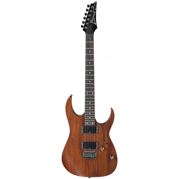 Ibanez RG421-MOL E-Gitarre