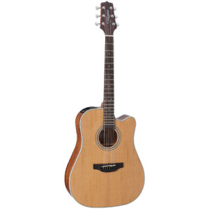 Takamine GD20CE-NS2 Westerngitarre