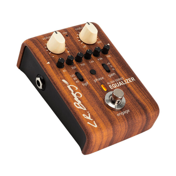 L.R. Baggs Equalizer Effektgerät Akustikgitarre