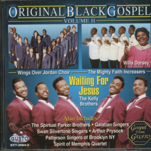 Various - Original Black Gospel Vol.2 (CD)