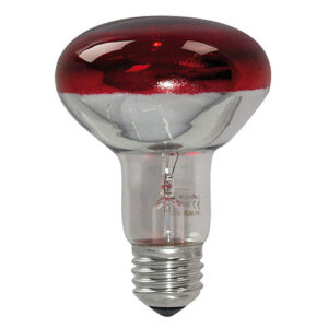 Omnilux R80 230 V / 60 W E-27 red Lampe (Leuchtmittel)