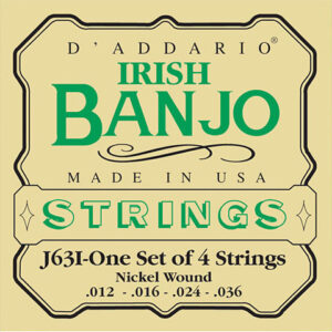 D'Addario J63i Irish Banjo Saiten Zupfinstrument