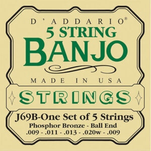 D'Addario J69B 5-String Banjo Saiten Zupfinstrument