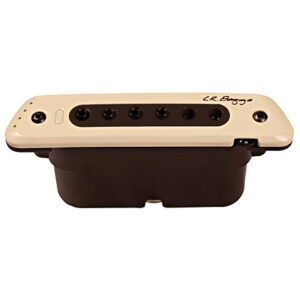 L.R. Baggs M80 Pickup Akustikgitarre