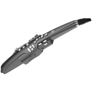 Roland Aerophone AE-10G Blaswandler