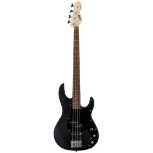 ESP Ltd AP-204 BLKS E-Bass