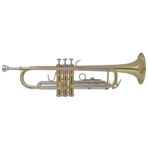 Bach TR655 Perinettrompete