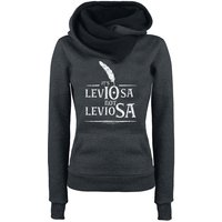 Harry Potter Leviosa Damen Schalkragenpullover grau/schwarz