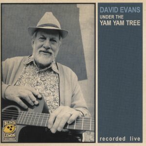 David Evans - Under The Yam Yam Tree