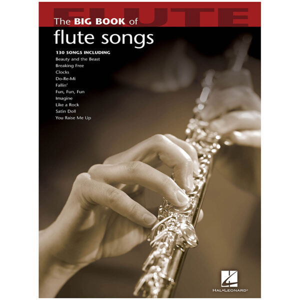 Hal Leonard The Big Book of Flute Songs for Flute Notenbuch