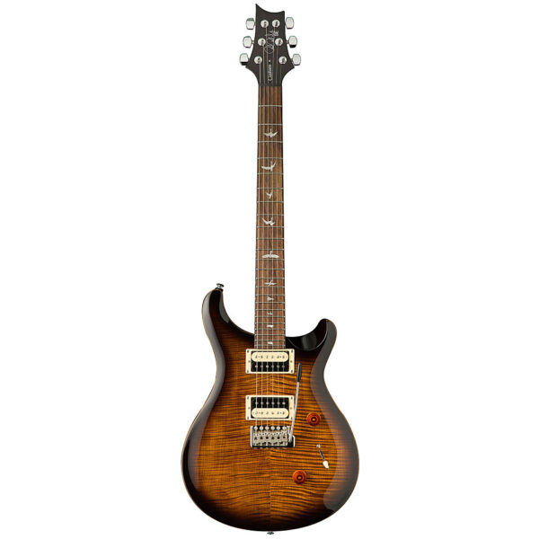 PRS SE Custom 24 BGS E-Gitarre