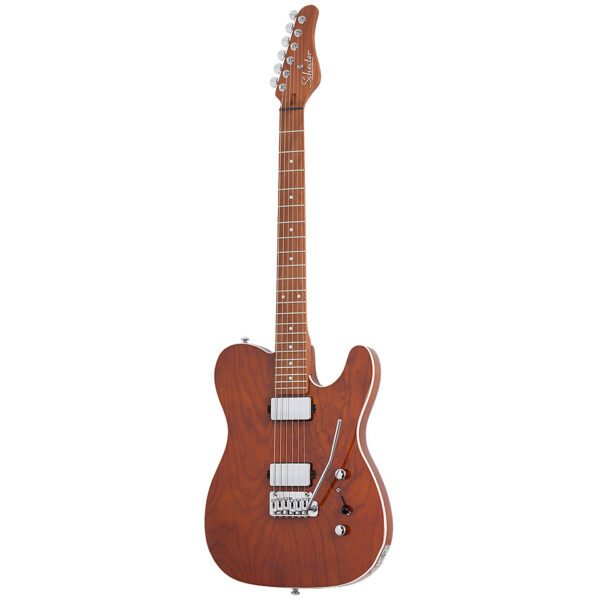 Schecter Van Nuys PT GNA E-Gitarre