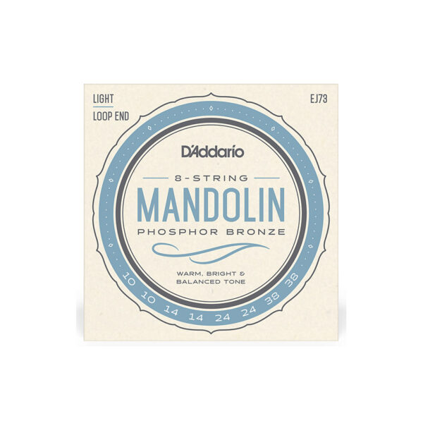 D'Addario EJ73 Mandolin Saiten Zupfinstrument