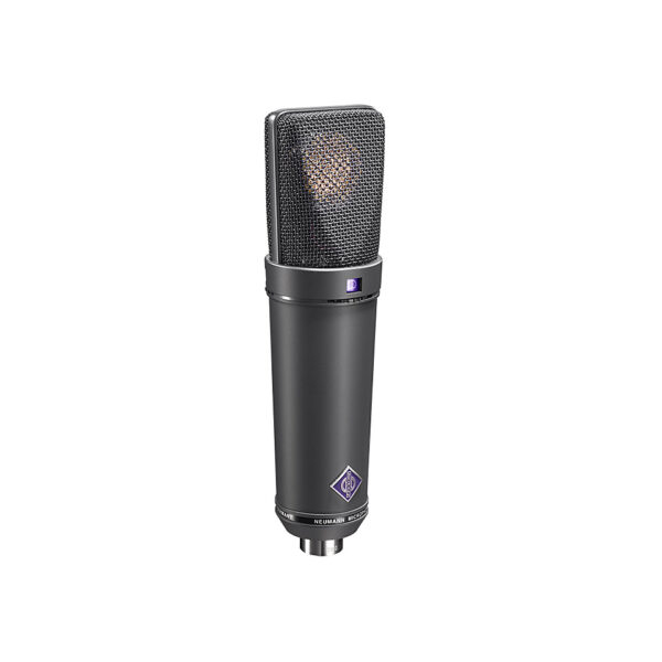 Neumann U 89 i mt Allround-Mikrofon