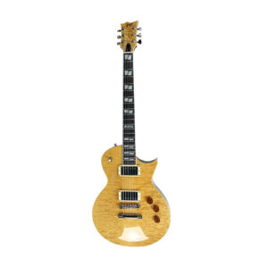 ESP USA Eclipse QM VN EMG E-Gitarre