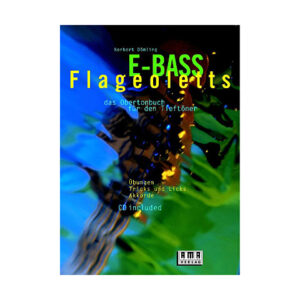 AMA E-Bass Flageoletts Lehrbuch