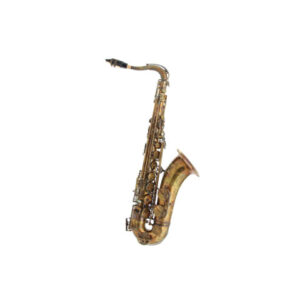 Expression XP-2 Master Tenor Tenorsaxophon