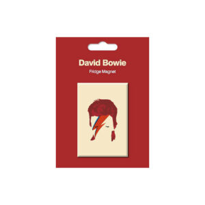 My World Pop Art Magnet - Aladdin Sane Dekomagnet