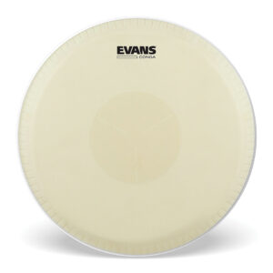 Evans Evans Tri Center Conga Head 11 3/4" Percussion-Fell