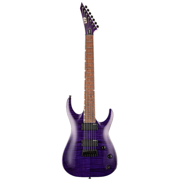 ESP Ltd SH-207 Brian Welch Signature E-Gitarre