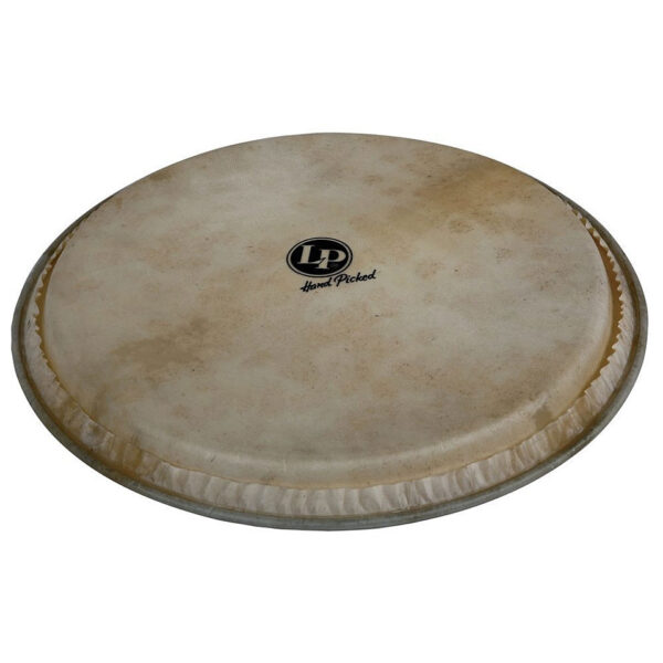 Latin Percussion 12