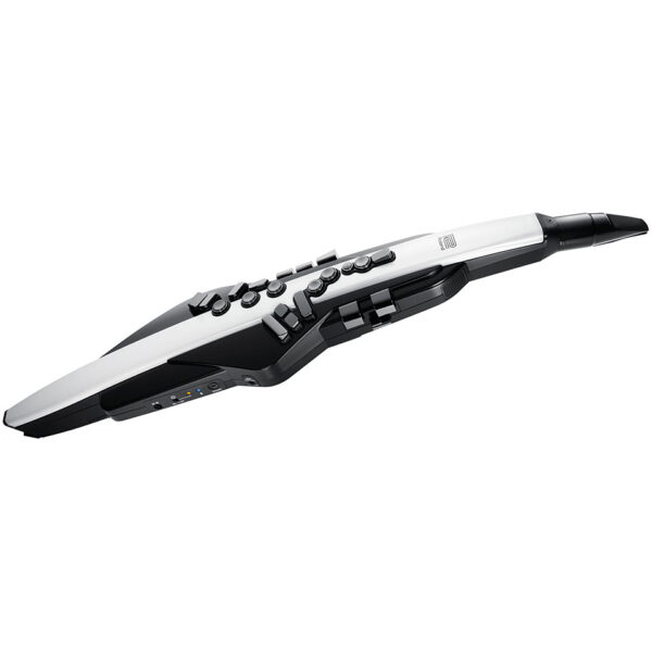 Roland Aerophone AE-20 Blaswandler