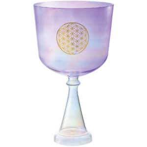 Meinl Sonic Energy CSC8FPFOL Heart Chakra Crystal Singing Chalice 8"