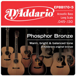 D'Addario EPBB170-5 .045-130 Saiten Akustikbass