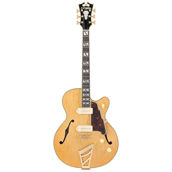 D'Angelico Deluxe 59 SH E-Gitarre