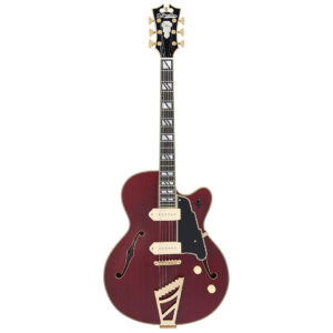 D'Angelico Deluxe 59 STW E-Gitarre