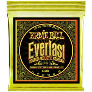 Ernie Ball Everlast EB2558 Light 011-052 Coated Saiten Westerngitarre