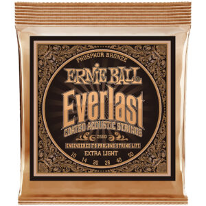 Ernie Ball Everlast Light Phosphor Bronze EB2550 010-050 Saiten