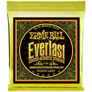 Ernie Ball Everlast Medium Light Bronze 2556 .012-054 Saiten