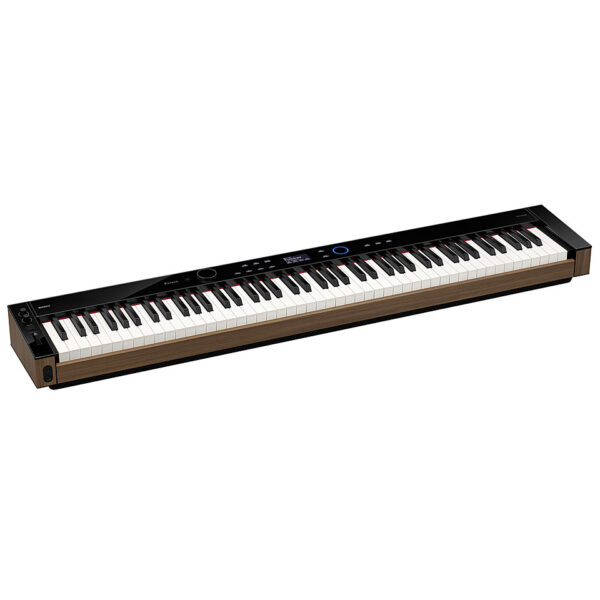 Casio Privia PX-S6000 BK Stagepiano