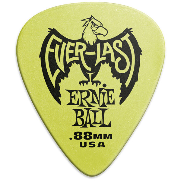 Ernie Ball Everlast