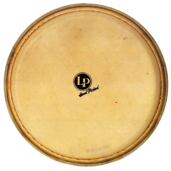 Latin Percussion Galaxy LP274A Conga Head 11" Percussion-Fell