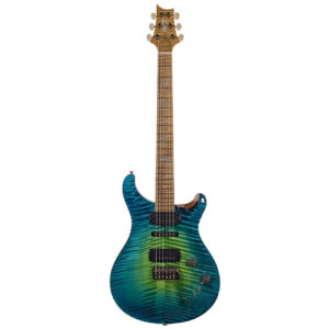 PRS Private Stock Modern Eagle V E-Gitarre