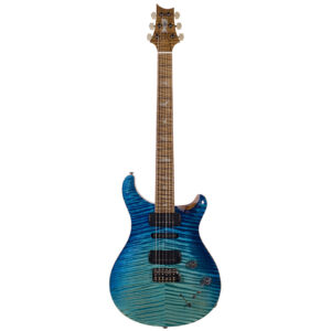 PRS Private Stock Modern Eagle V E-Gitarre