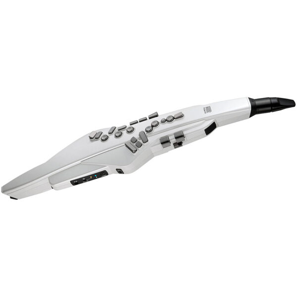 Roland Aerophone AE-20W Blaswandler