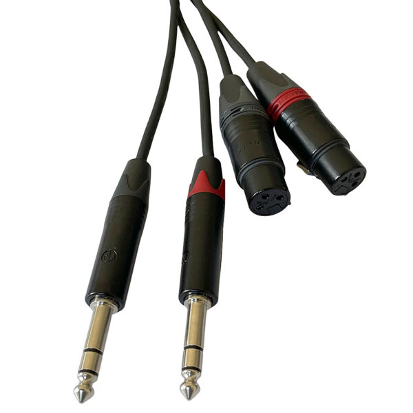 AudioTeknik Dual XLRf > TRS 3m Audiokabel